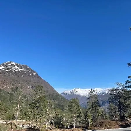 Moderne Og Romslig Familiehytte I