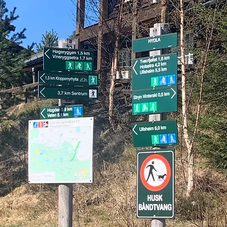 Moderne Og Romslig Familiehytte I Dom wakacyjny *